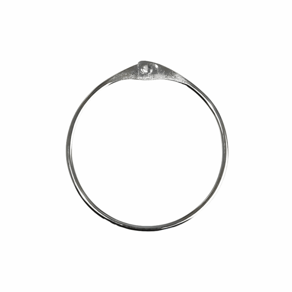 100.232.19 Losse ring voor tips